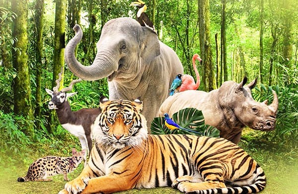 nói về chương trình tv yêu thích bằng tiếng anh