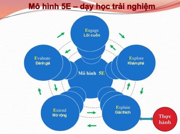 các mô hình giáo dục stem