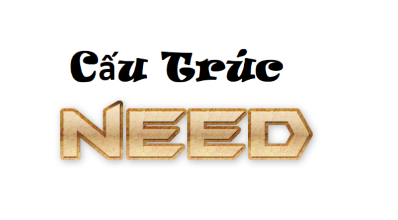 cấu trúc need